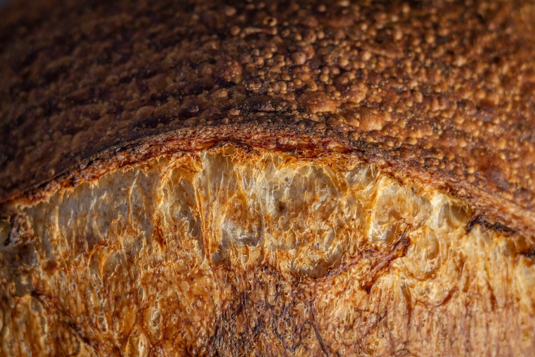 Homemade sourdough bread loaf cooling on a rack, rustic crust and ear